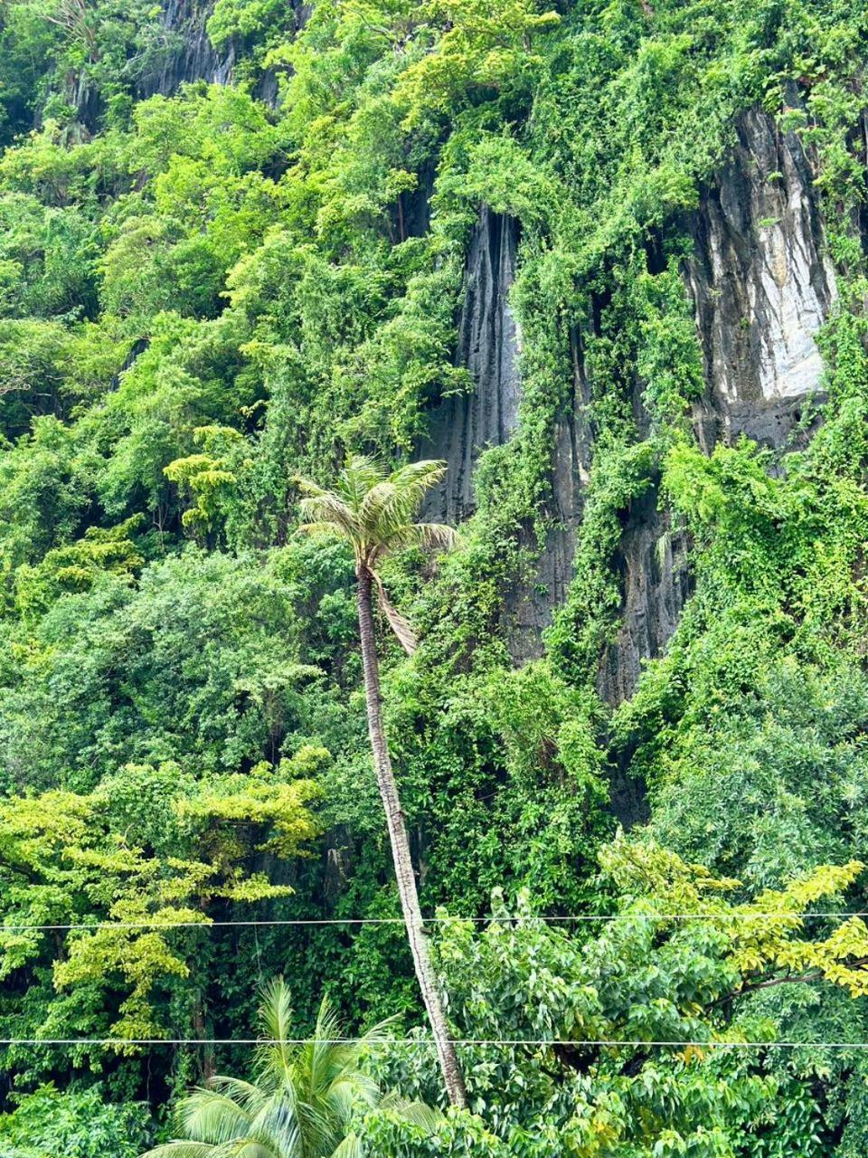 Mayad El Nido Inn Exteriér fotografie